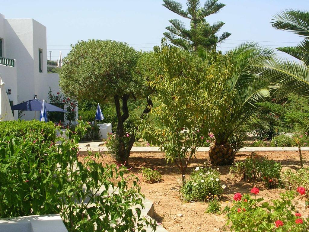Sirius Apartments Hersonissos  Camera foto